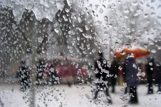 featured-image-564246