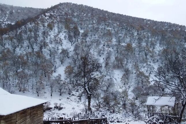 featured-image-564051