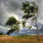 featured-image-563407