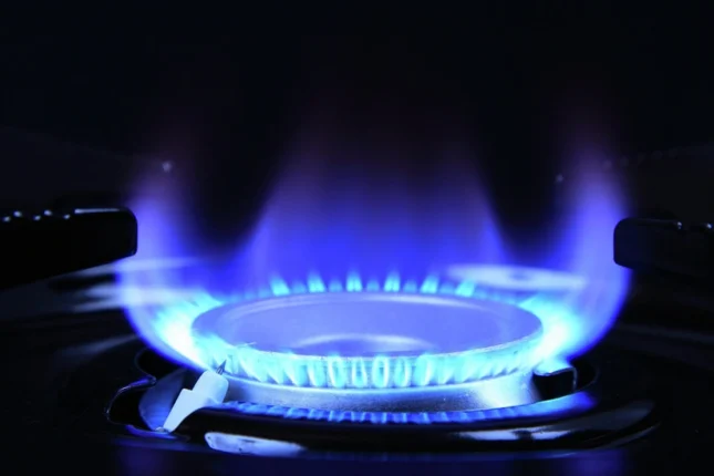 featured-image-563639