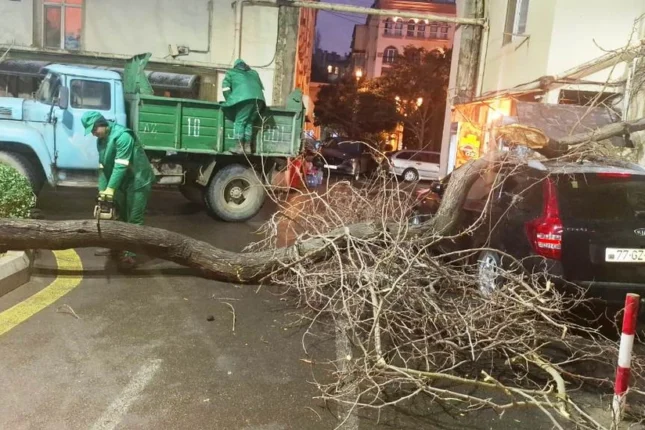 featured-image-563694