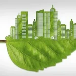 featured-image-564016