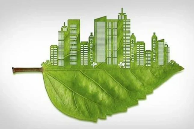 featured-image-564016