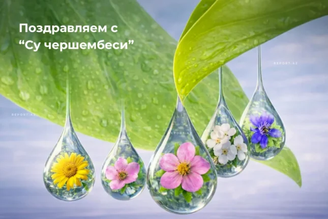 featured-image-566211