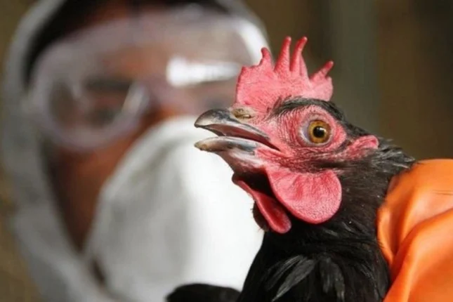 featured-image-563898