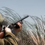 featured-image-563948