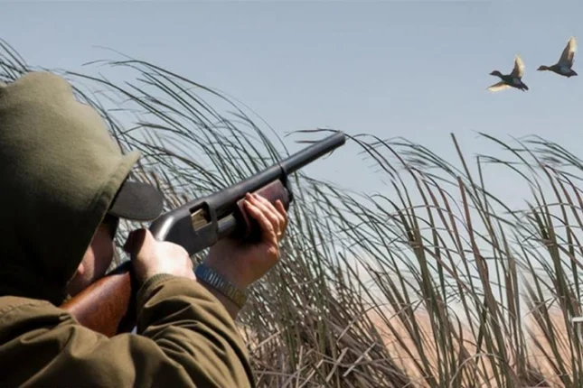 featured-image-563948