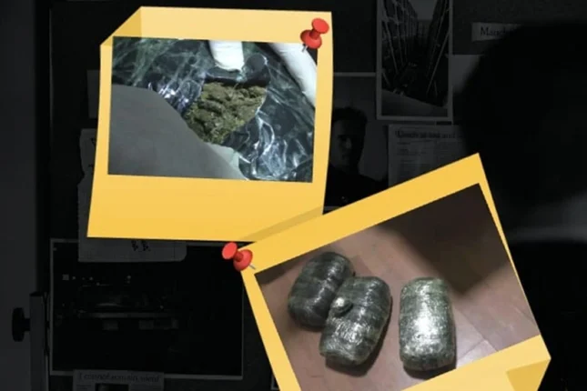 featured-image-564045