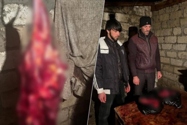 featured-image-564162