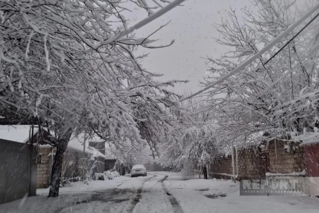 featured-image-564377