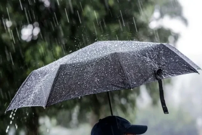 featured-image-563473