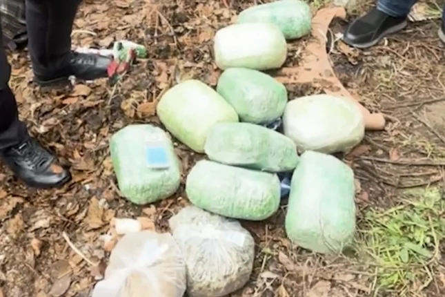 featured-image-563506