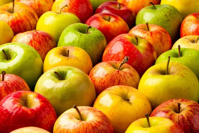 featured-image-568646