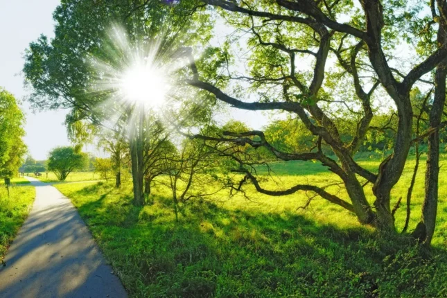 featured-image-578237